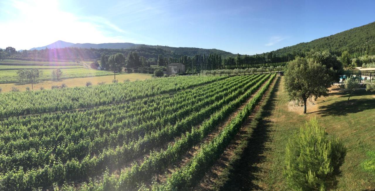 Les Gites Du Clos Saint Michel & Spa Malaucène Exteriér fotografie